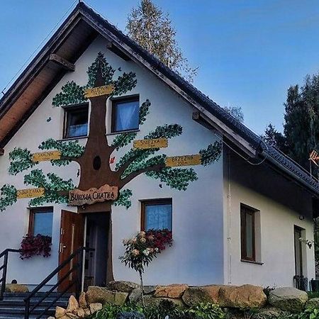 Bukowa Chatka Bukowiec  エクステリア 写真